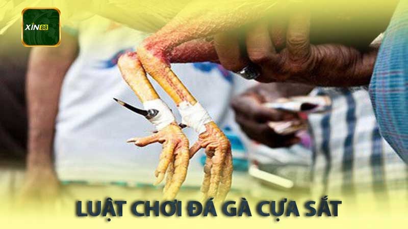 Luật Chơi Đá Gà Cựa Sắt Cơ Bản