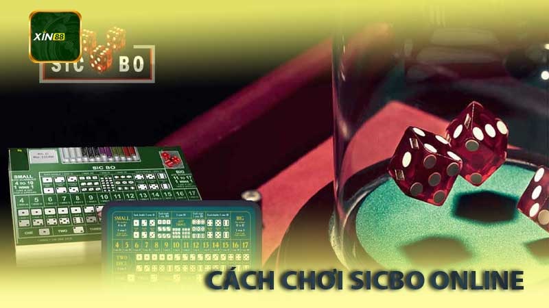 Cách chơi Sicbo Online tại Xin88